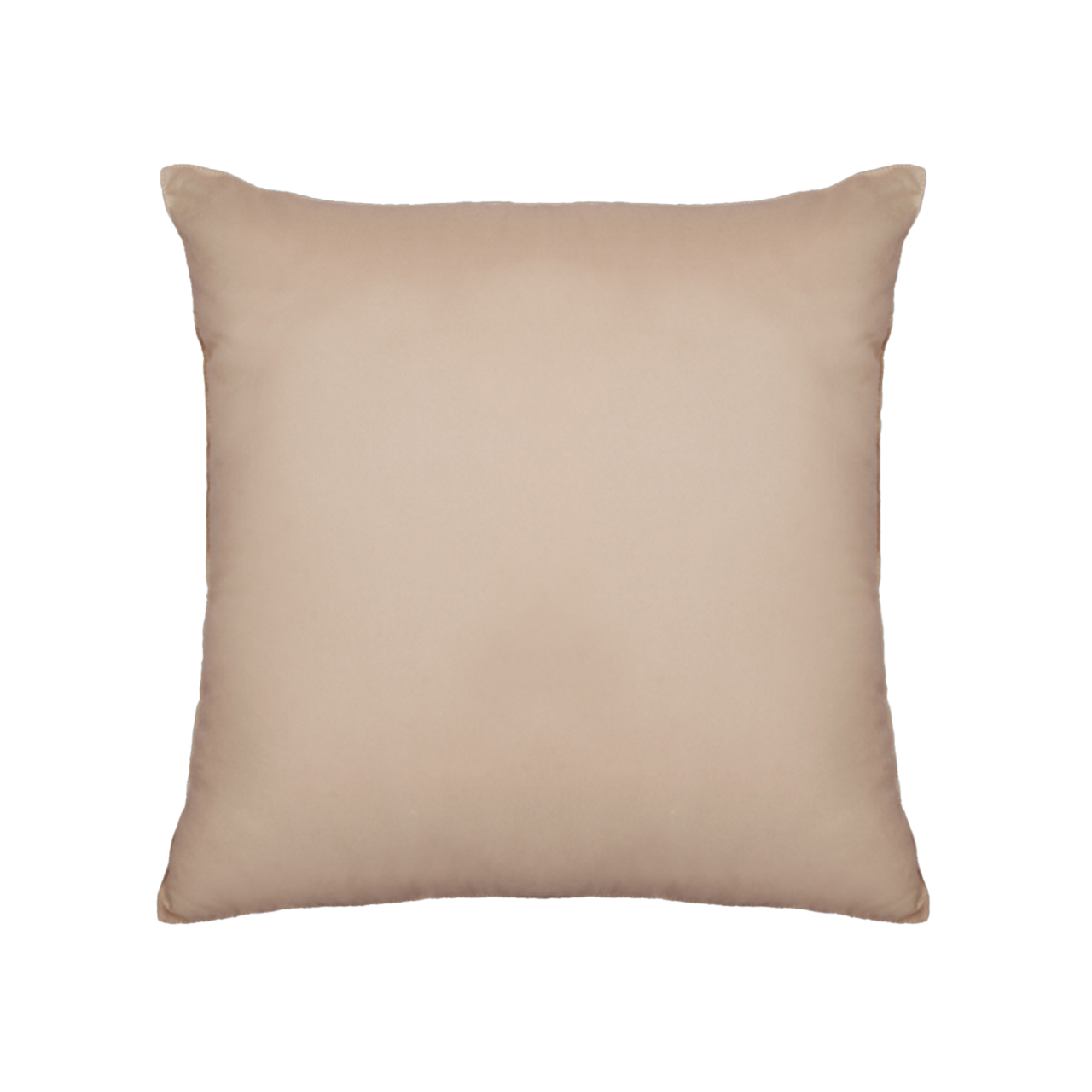 Color Cushion 18'' X 18'' (Beige)